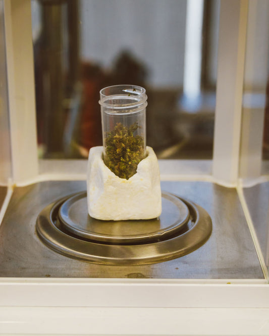 CBD och cannabidiol – guide om forskning och regler i Sverige 2026