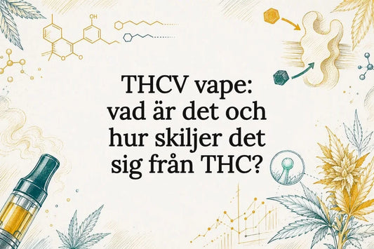 THCV vape – vad är THCV och hur skiljer det sig från THC?